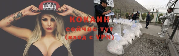 PSILOCYBIN Дрезна