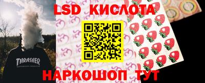 дмт Обь
