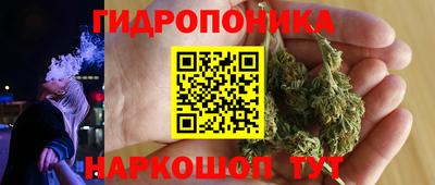 дмт Обь