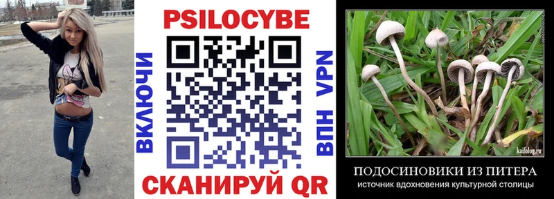 Псилоцибиновые грибы Magic Shrooms  Сибай 